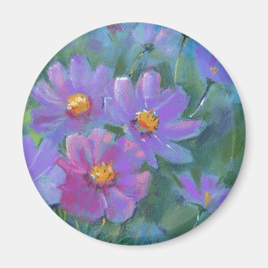 Gartengarten-Blume (Cosmos bipinnatus, mexikanisch Magnet (Vorne)