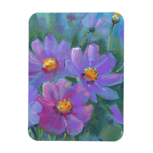 Gartengarten-Blume (Cosmos bipinnatus, mexikanisch Magnet