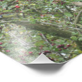 Gartengrasmücke und Blaumeise Fotodruck (Ecke)