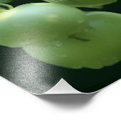 Gartengrüne Tomaten/Paradeiser Natur 8x10 Fotodruck (Ecke)