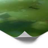 Gartengrüne Tomaten/Paradeiser Naturplakat Poster (Ecke)