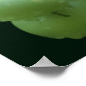 Gartengrüne Tomaten Poster (Ecke)