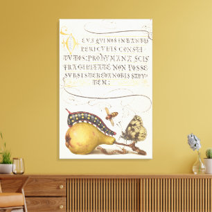 Garteninsekten, Fliege, Raupe, Birne, Tausendfüßle Leinwanddruck