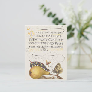 Garteninsekten, Fliege, Raupe, Birne, Tausendfüßle Postkarte