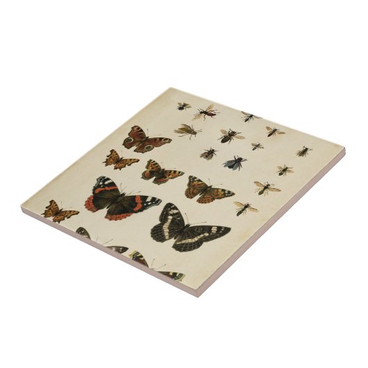 Garteninsekten von Vision Studio Fliese (Seite)