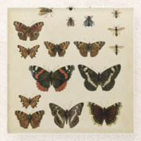 Garteninsekten von Vision Studio