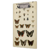 Garteninsekten von Vision Studio Klemmbrett (Links)