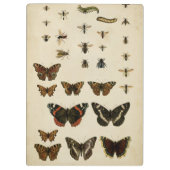 Garteninsekten von Vision Studio Klemmbrett (Rückseite)