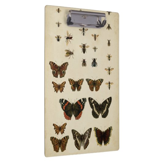Garteninsekten von Vision Studio Klemmbrett (Rechts)