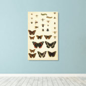 Garteninsekten von Vision Studio Leinwanddruck (Insitu (Holzboden))