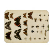 Garteninsekten von Vision Studio Magnet (Horizontal)