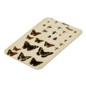 Garteninsekten von Vision Studio Magnet (Linke Seite)