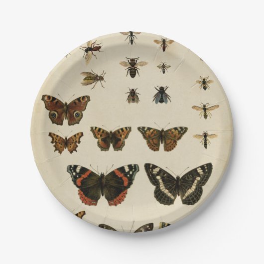 Garteninsekten von Vision Studio Pappteller (Vorderseite)
