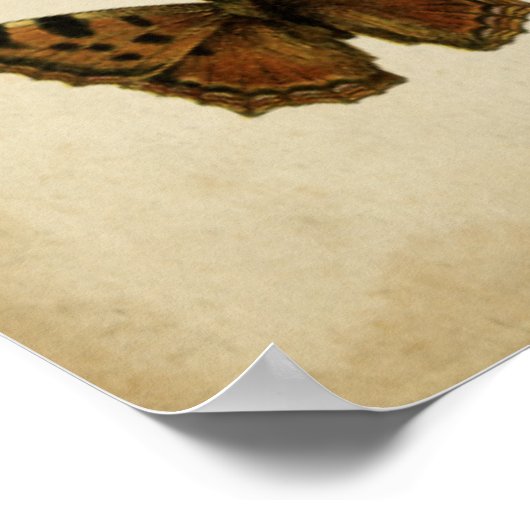 Garteninsekten von Vision Studio Poster (Ecke)