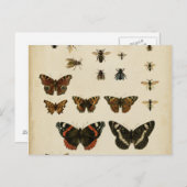 Garteninsekten von Vision Studio Postkarte (Vorne/Hinten)