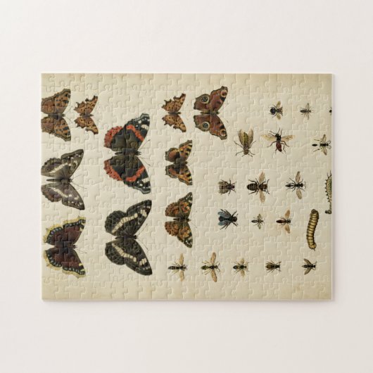 Garteninsekten von Vision Studio Puzzle (Horizontal)
