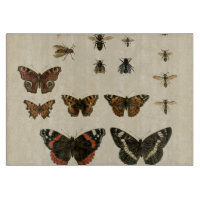 Garteninsekten von Vision Studio