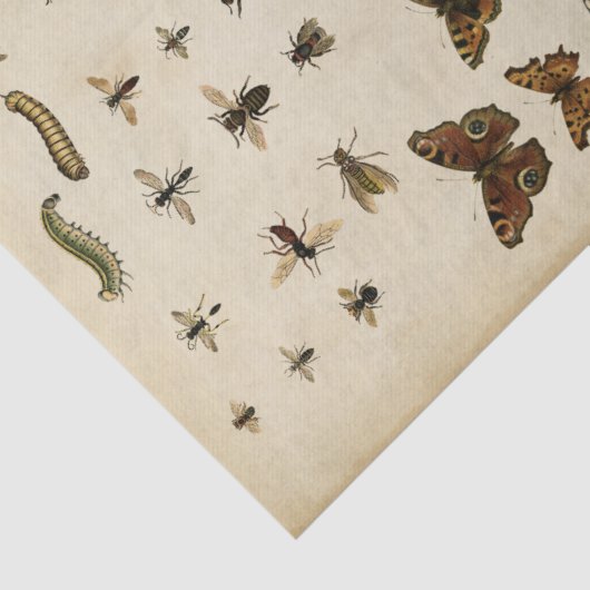 Garteninsekten von Vision Studio Seidenpapier (Ausschnitt)