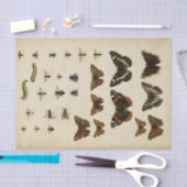 Garteninsekten von Vision Studio Seidenpapier (Handwerk)