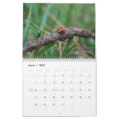 Garteninsektenkalender 2023 kalender (Mär 2027)