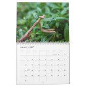 Garteninsektenkalender 2023 kalender (Jan 2027)