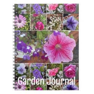 Gartenjournal Rosa Petunie Hübsche Frühlingsblumen Notizblock