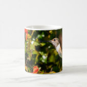 Gartenjuwel: Ein schwebender Kolibri Kaffeetasse (Mittel)