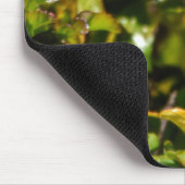 Gartenjuwel: Ein summender Vogel in Blüte Mousepad (Ecke)