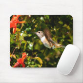 Gartenjuwel: Ein summender Vogel in Blüte Mousepad (Mit Mouse)