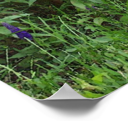 Gartenkatze Poster (Ecke)