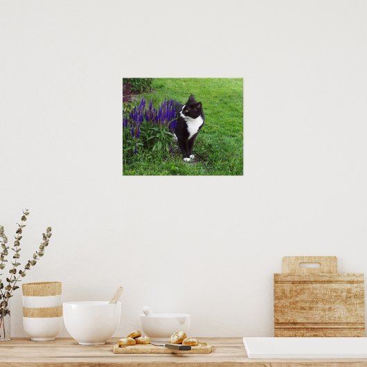 Gartenkatze Poster (Küche)