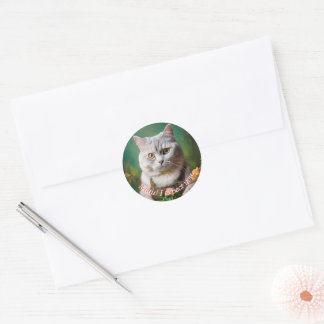Gartenkatze Runder Aufkleber