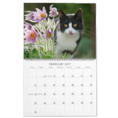 Gartenkatzen - groß kalender (Feb 2027)