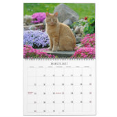 Gartenkatzen - groß kalender (Mär 2027)