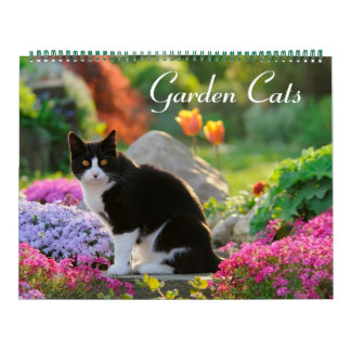 Gartenkatzen - groß kalender