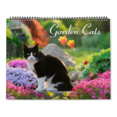 Gartenkatzen - groß kalender (Titelbild)