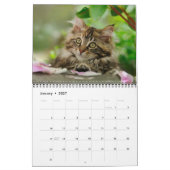 Gartenkatzen - mittelgroß kalender (Jan 2027)