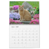 Gartenkatzen - mittelgroß kalender (Mär 2027)