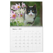 Gartenkatzen - mittelgroß kalender (Feb 2018)