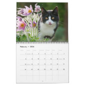 Gartenkatzen - mittelgroß kalender (Feb 2026)