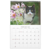 Gartenkatzen - mittelgroß kalender (Feb 2027)