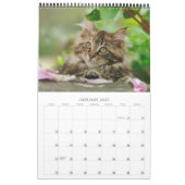 Gartenkatzen - mittelgroß kalender (Jan 2027)
