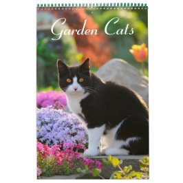 Gartenkatzen - mittelgroß kalender