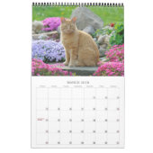Gartenkatzen - mittelgroß kalender (Mär 2018)