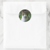 Gartenkatzenaufkleber Runder Aufkleber (Tasche)
