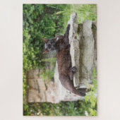 Gartenkatzenpuzzle Puzzle (Vertikal)