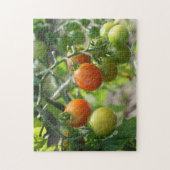 Gartenkirschtomaten Natur Puzzle (Vertikal)