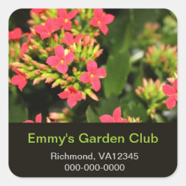 Gartenklubaufkleber, rote Gartengarten-Blume Quadratischer Aufkleber