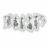 Gartenkräuter botanische Pflanze zeichnend Aufkleber (Vorderseite)