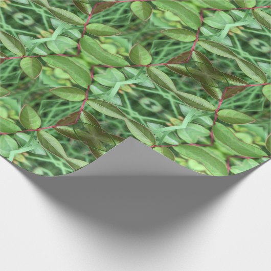 Gartenkräuter Geschenkpapier (Ecke)